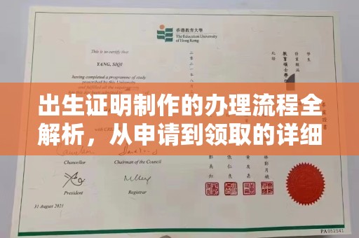 弋江出生证明制作的办理流程全解析，从申请到领取的详细指南
